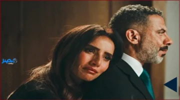 محمد فراج يوقف برنامج زينة في «ورد وشوكولاتة».. الأسباب والتداعيات الحقيقية